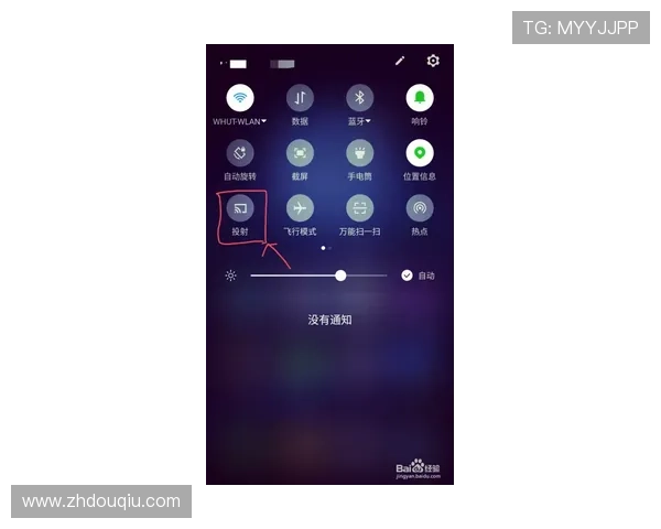最新斗球电脑端下载手机版的官方渠道与安全安装技巧全攻略